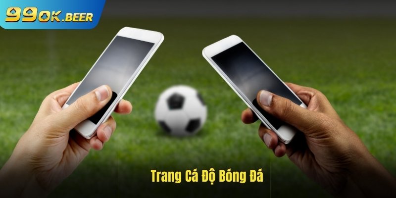 Trang cá độ bóng đá